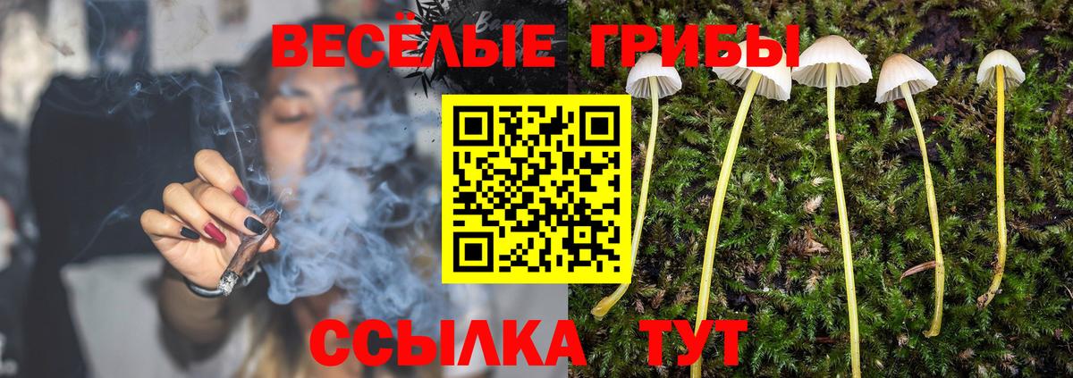 как найти   Вход с VPN  Екатеринбург  Галлюциногенные грибы Cubensis 