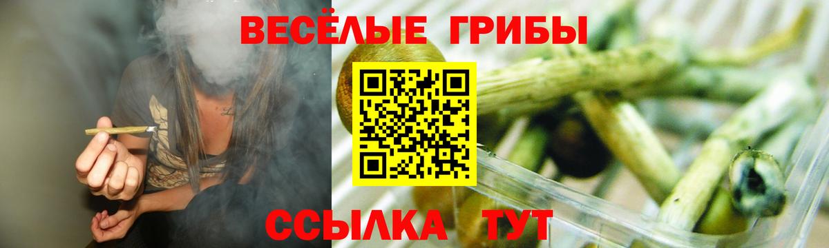 Галлюциногенные грибы прущие грибы Екатеринбург